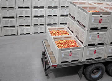 what to expect image