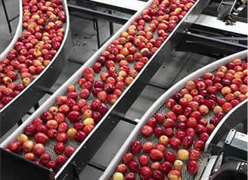 what to expect image