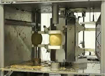 what to expect image